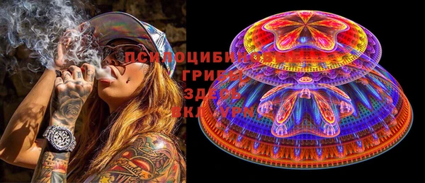 гидра Алзамай